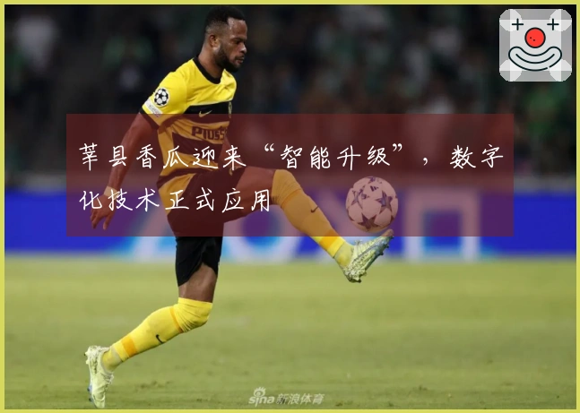 莘县香瓜迎来“智能升级”，数字化技术正式应用