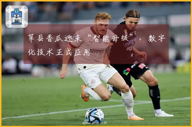 莘县香瓜迎来“智能升级”，数字化技术正式应用